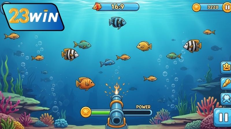 ban-ca-sieu-thi-an-xu